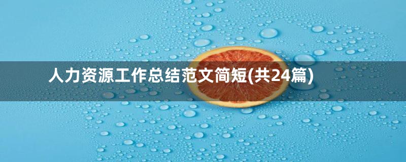 人力资源工作总结范文简短(共24篇)