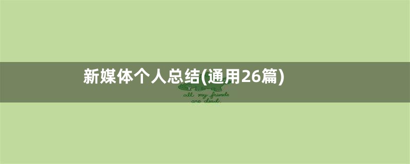 新媒体个人总结(通用26篇)