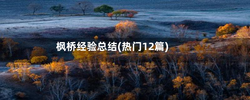 枫桥经验总结(热门12篇)