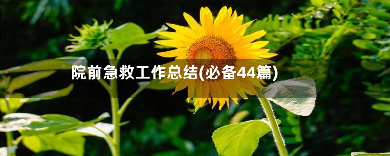 院前急救工作总结(必备44篇)