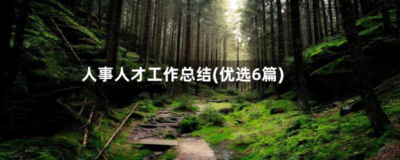 人事人才工作总结(优选6篇)