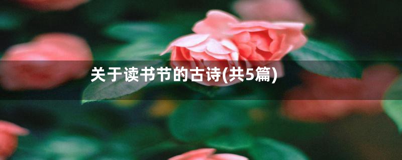 关于读书节的古诗(共5篇)