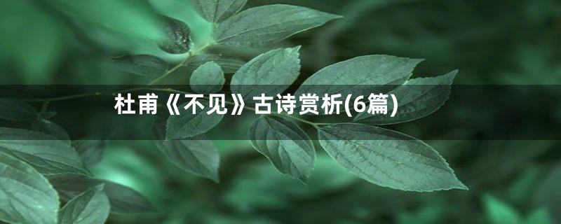杜甫《不见》古诗赏析(6篇)