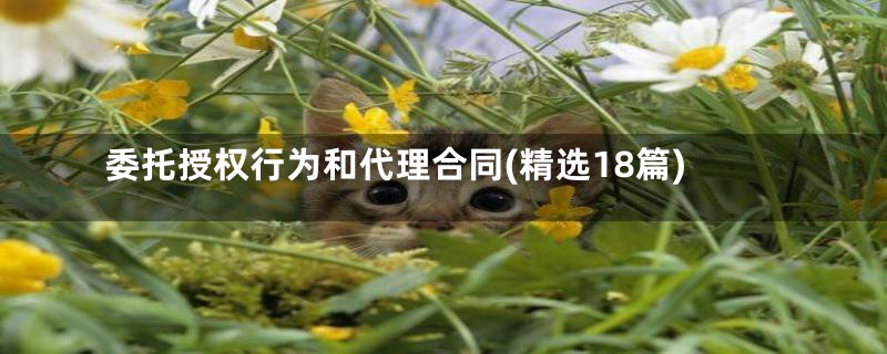 委托授权行为和代理合同(精选18篇)