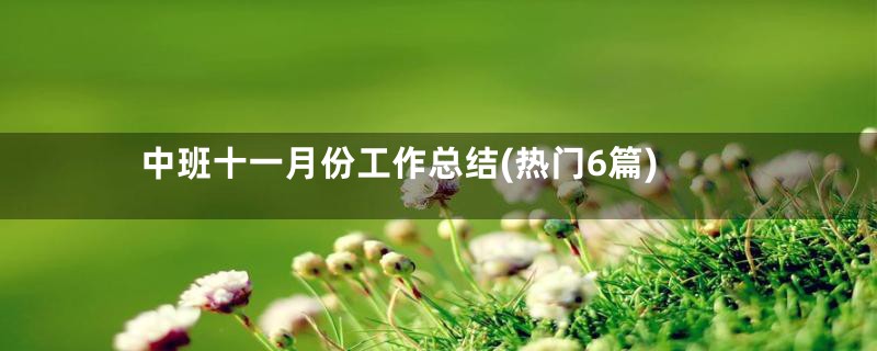 中班十一月份工作总结(热门6篇)