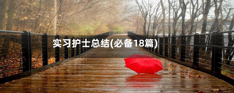 实习护士总结(必备18篇)
