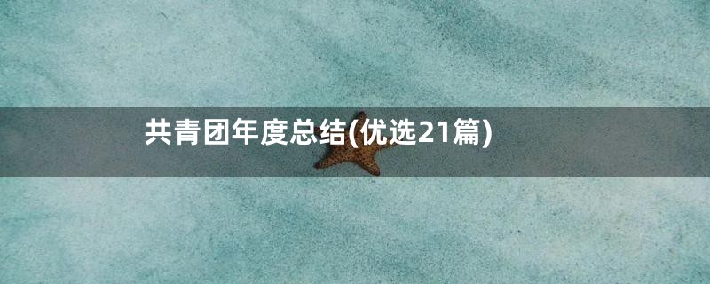 共青团年度总结(优选21篇)