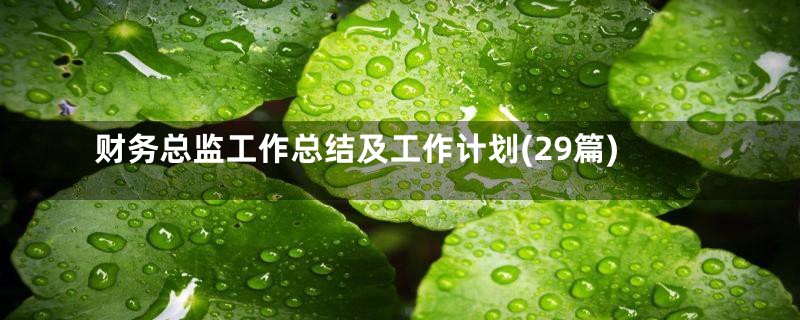 财务总监工作总结及工作计划(29篇)