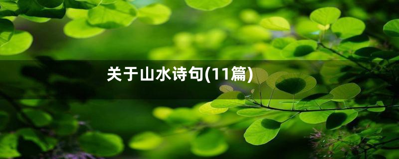 关于山水诗句(11篇)
