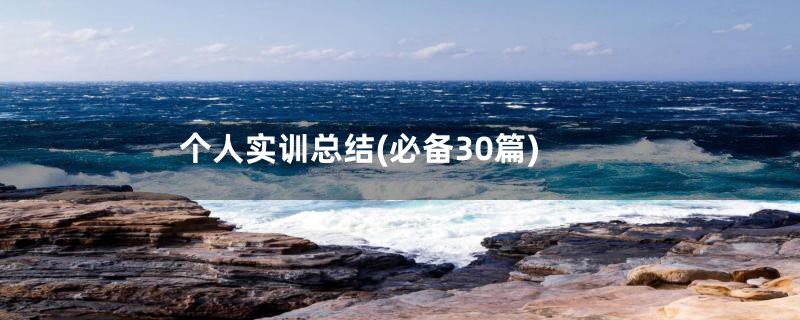 个人实训总结(必备30篇)