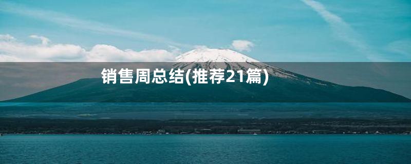 销售周总结(推荐21篇)