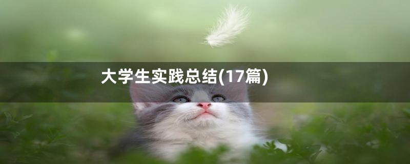 大学生实践总结(17篇)