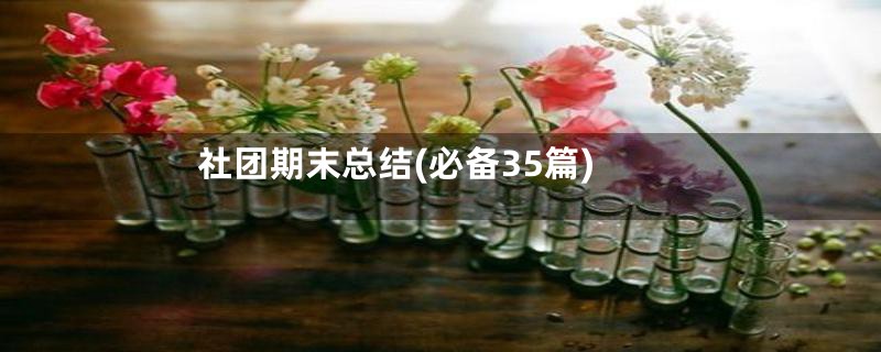 社团期末总结(必备35篇)