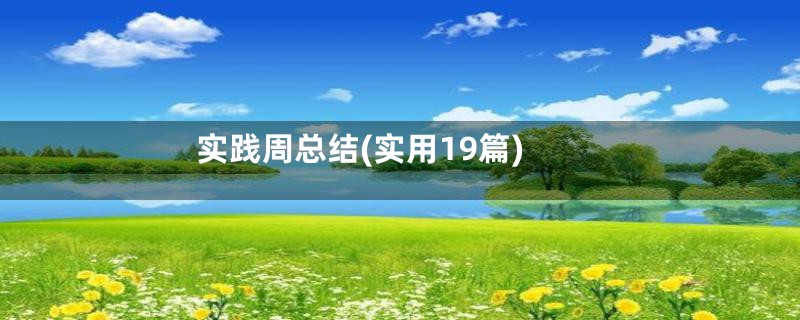 实践周总结(实用19篇)