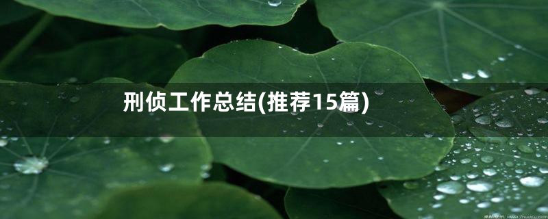 刑侦工作总结(推荐15篇)