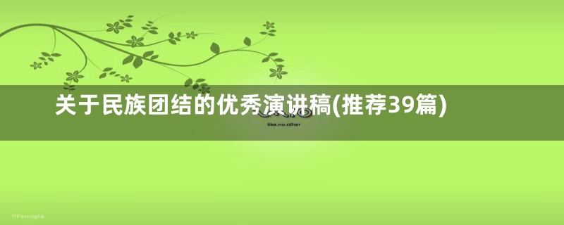 关于民族团结的优秀演讲稿(推荐39篇)