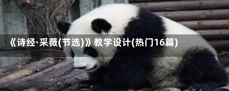 《诗经·采薇(节选)》教学设计(热门16篇)