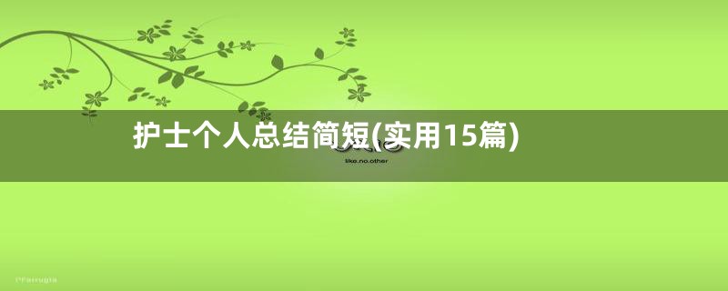 护士个人总结简短(实用15篇)