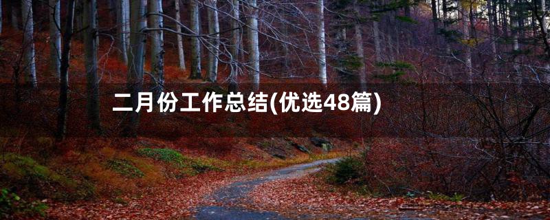 二月份工作总结(优选48篇)