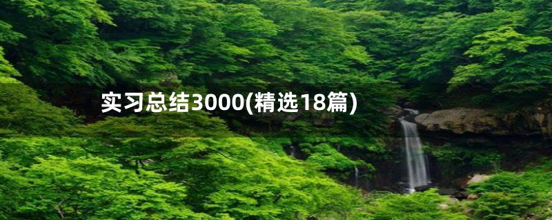 实习总结3000(精选18篇)