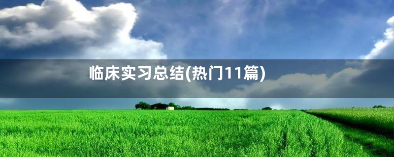 临床实习总结(热门11篇)