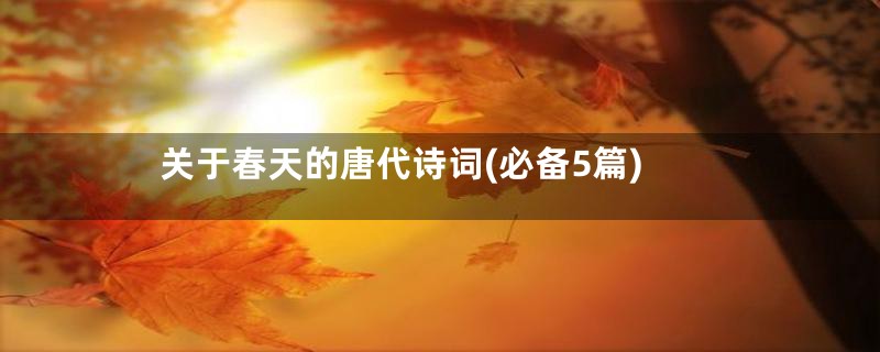 关于春天的唐代诗词(必备5篇)