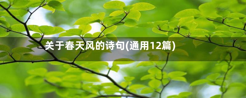 关于春天风的诗句(通用12篇)