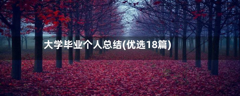 大学毕业个人总结(优选18篇)