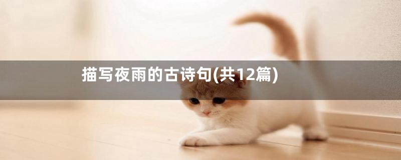描写夜雨的古诗句(共12篇)