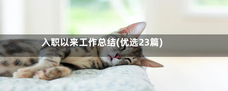 入职以来工作总结(优选23篇)