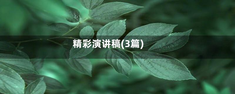 精彩演讲稿(3篇)