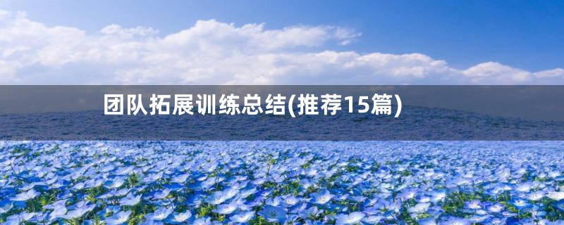 团队拓展训练总结(推荐15篇)