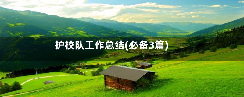 护校队工作总结(必备3篇)