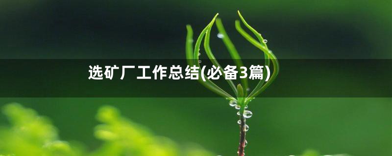 选矿厂工作总结(必备3篇)