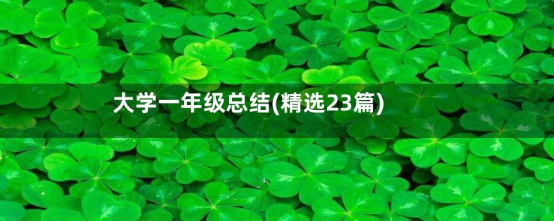 大学一年级总结(精选23篇)