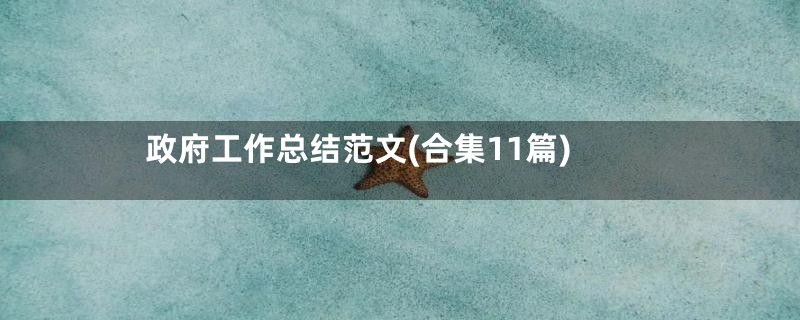 政府工作总结范文(合集11篇)