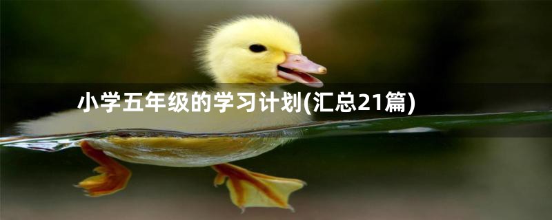 小学五年级的学习计划(汇总21篇)