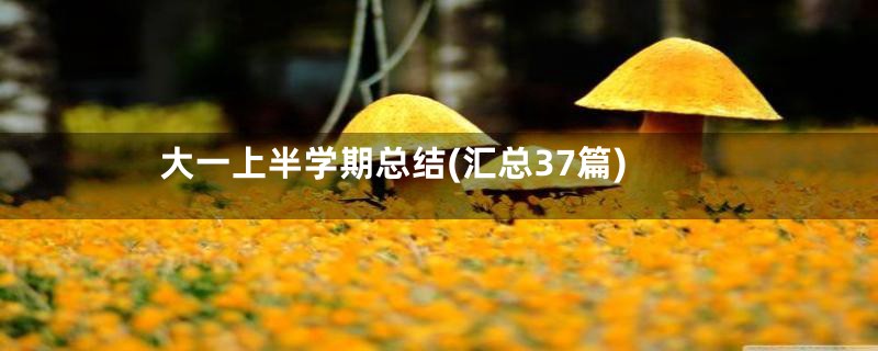 大一上半学期总结(汇总37篇)
