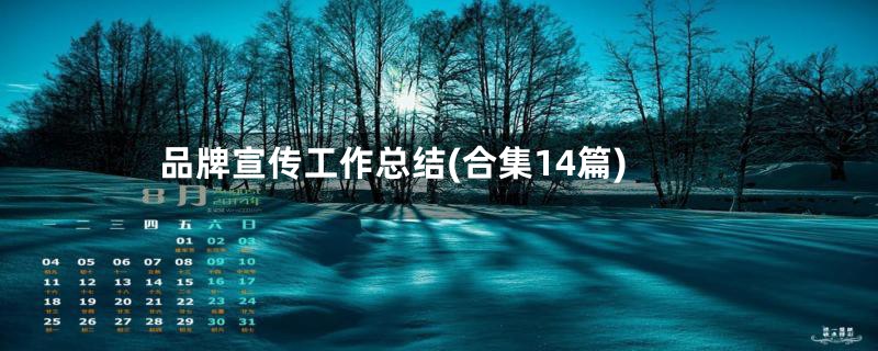 品牌宣传工作总结(合集14篇)