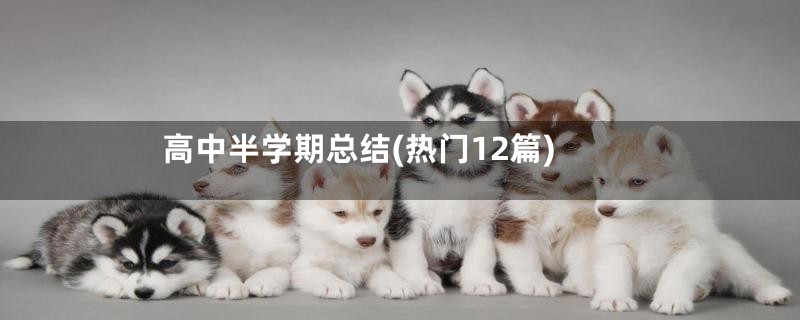 高中半学期总结(热门12篇)