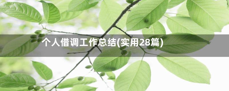 个人借调工作总结(实用28篇)
