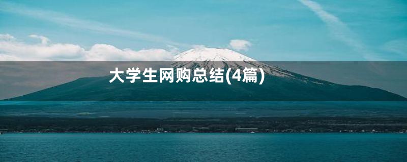 大学生网购总结(4篇)
