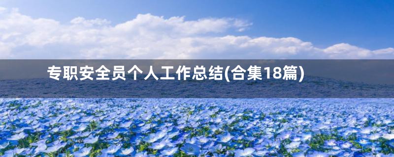 专职安全员个人工作总结(合集18篇)