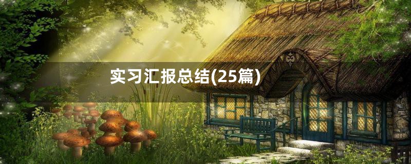 实习汇报总结(25篇)