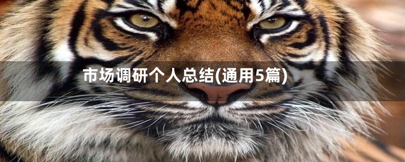 市场调研个人总结(通用5篇)