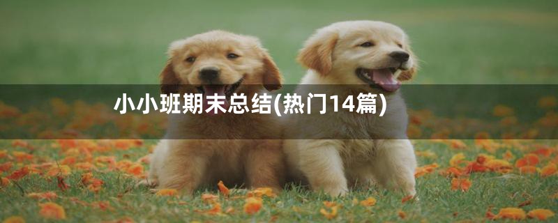 小小班期末总结(热门14篇)