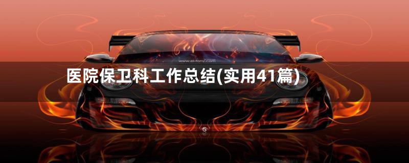 医院保卫科工作总结(实用41篇)