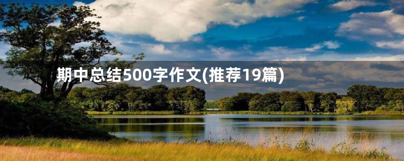 期中总结500字作文(推荐19篇)