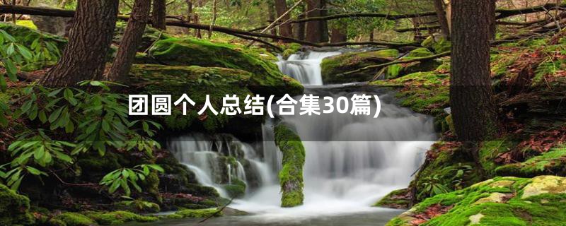 团圆个人总结(合集30篇)