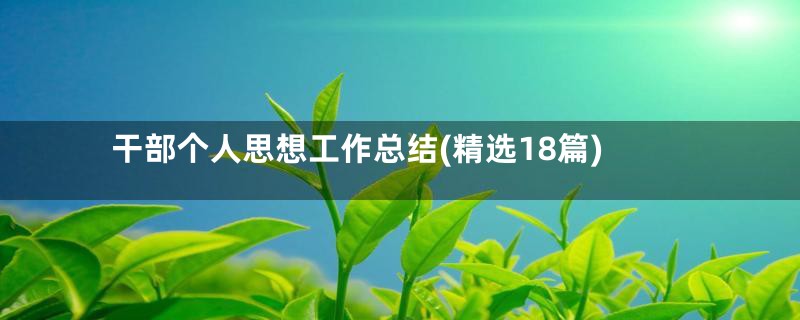 干部个人思想工作总结(精选18篇)
